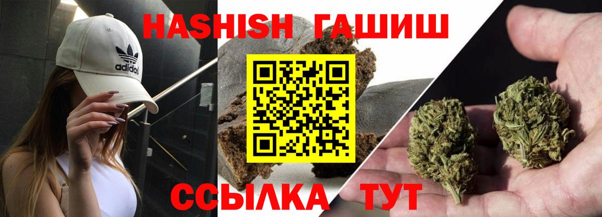 ГАШ Premium Кстово