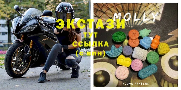 гидра Богданович