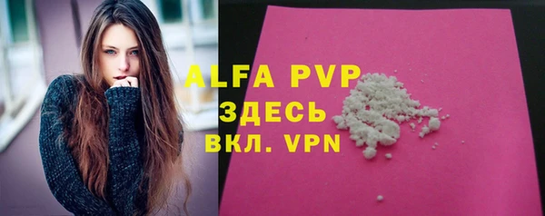 гидра Богданович