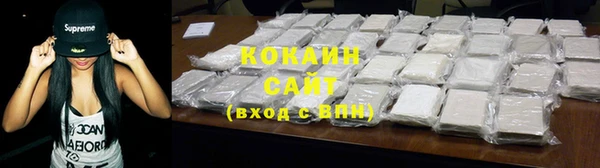 гидра Богданович