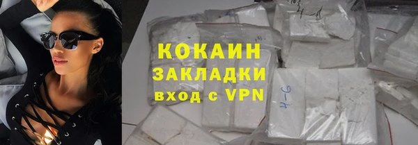 гидра Богданович