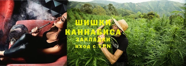 гидра Богданович