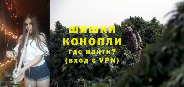 гидра Богданович