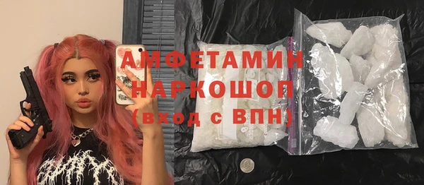 гидра Богданович