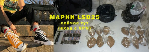 гидра Богданович