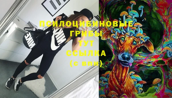 гидра Богданович