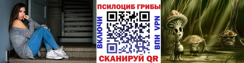 Галлюциногенные грибы Psilocybine cubensis  Кстово 